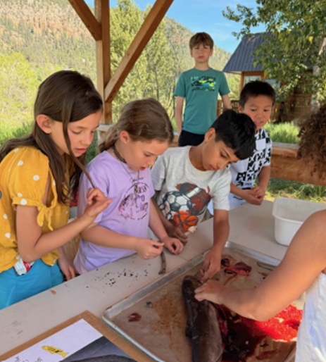 Ms. Fast's Class Salmon Release